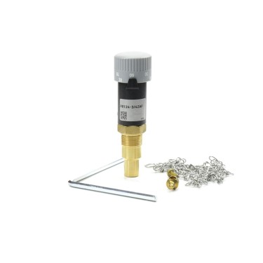 Miarownik ciągu FR 1 zakres regulacji 30÷90°C G3/4"