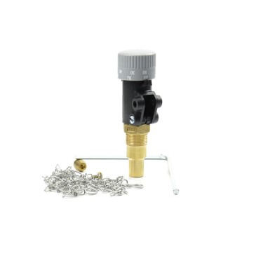 Miarownik ciągu FR 1 zakres regulacji 30÷90°C G3/4" Miarownik ciągu FR 1 zakres regulacji 30÷90°C G3/4"